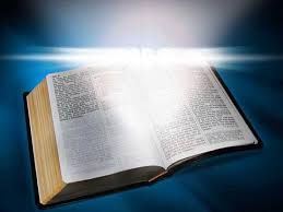 http://www.ecologiaverde.com/llegan-las-biblias-ecologicas/