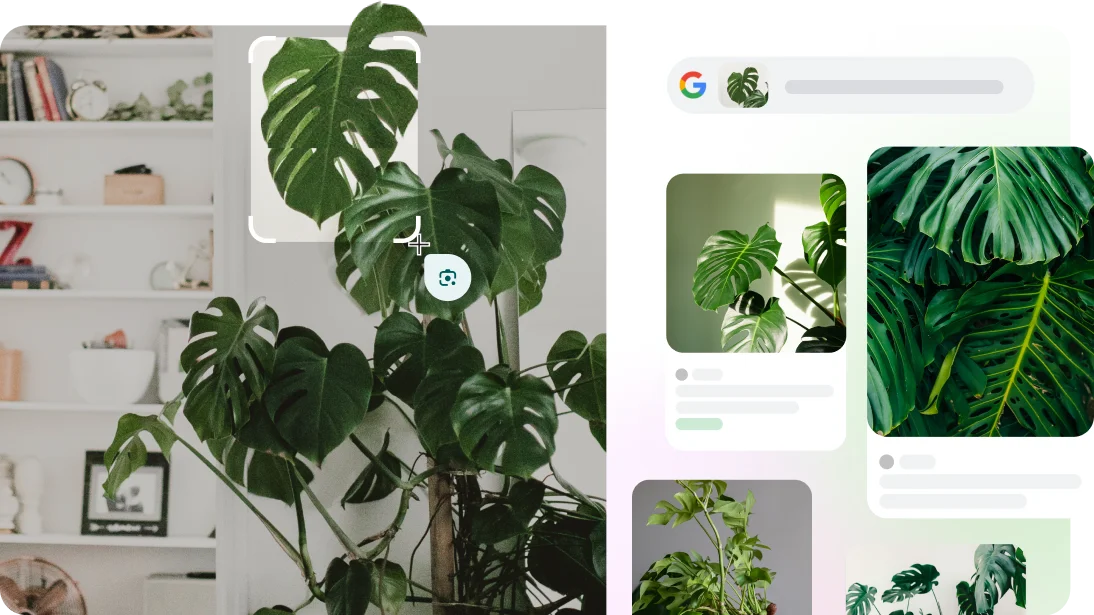 Google Lens se usa para identificar una maleta en una página web y, en la app de la cámara, una raza de perro y una planta.